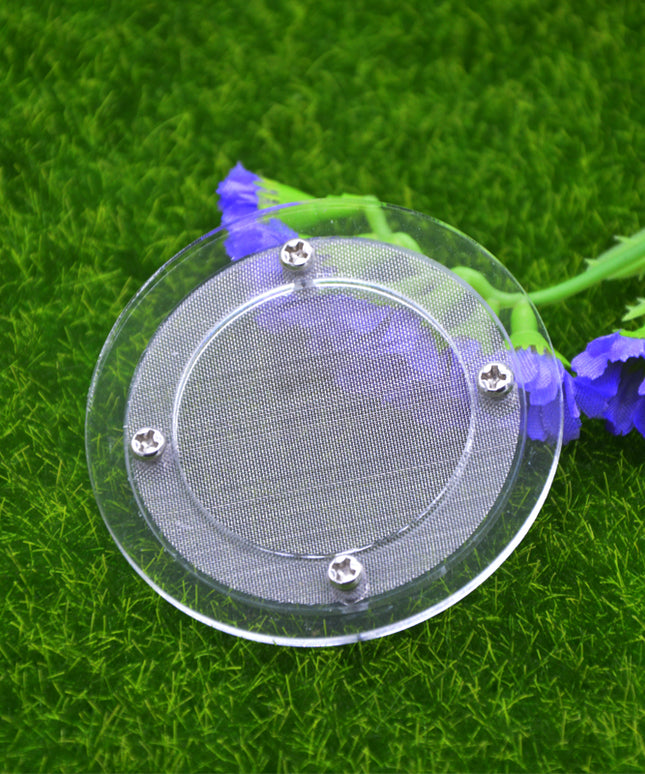 Home Fashion Acrylic Cup Plaster Ant Nest