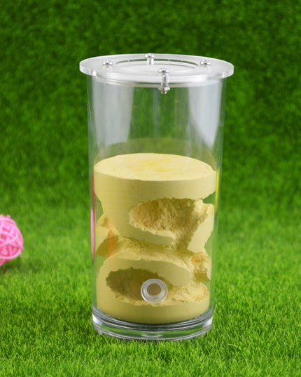 Shi Wang Ant House Water Cup Rich Acrylic Cover Plaster Ant Nest