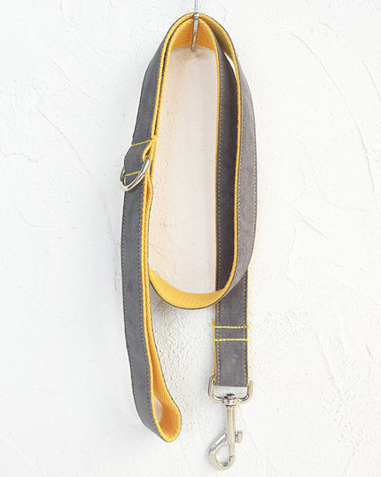 Dog leash grey leash