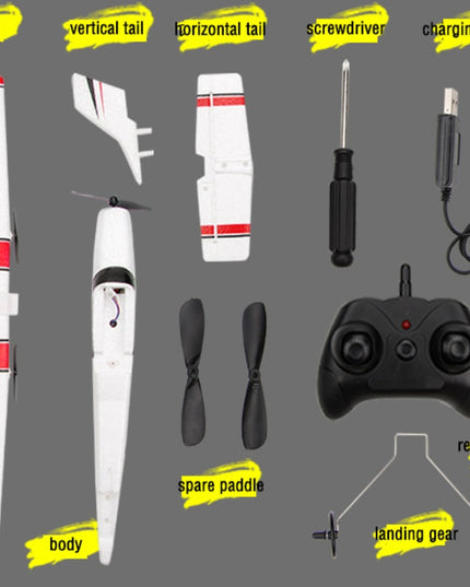 FX801 Remote Control Glider  Model