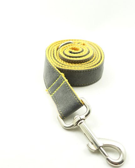 Dog leash grey leash