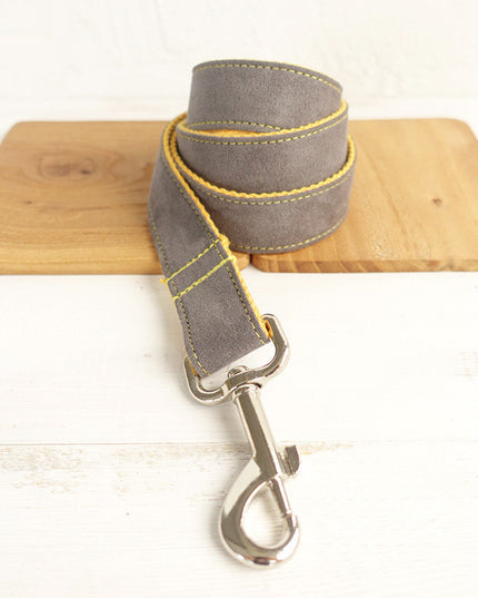 Dog leash grey leash