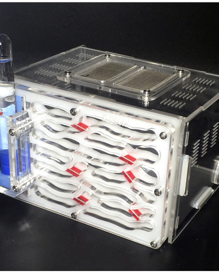 Acrylic ant nest small pet living ant villa castle