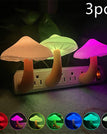 Mushroom / US / Colorful 3pcs
