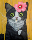 Cat 1