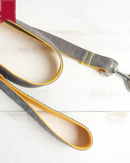Dog leash grey leash