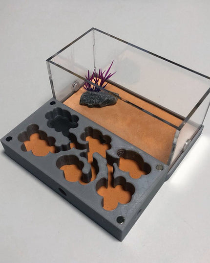 Ant Nest Ant Nest Pet Castle Workshop Tribe