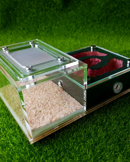 Bionic Flat Plaster Ant Nest Home Fashion