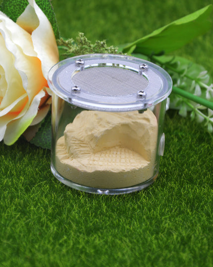 Home Fashion Acrylic Cup Plaster Ant Nest