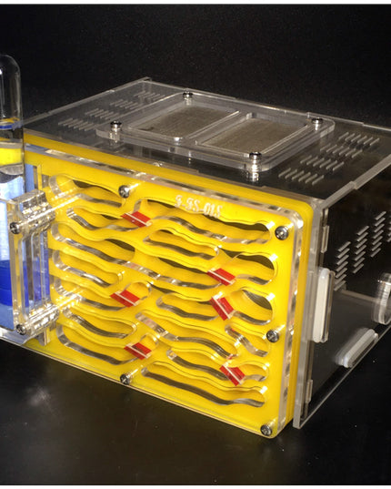 Acrylic ant nest small pet living ant villa castle