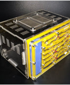 Yellow Normal Edition