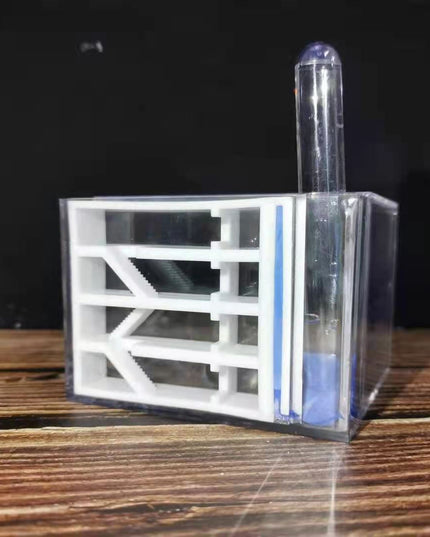 Bionic Nest Ant Workshop Acrylic Gypsum