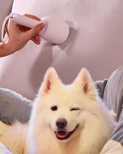 Portable vacuum cleaner