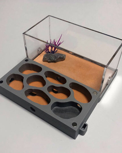 Ant Nest Ant Nest Pet Castle Workshop Tribe