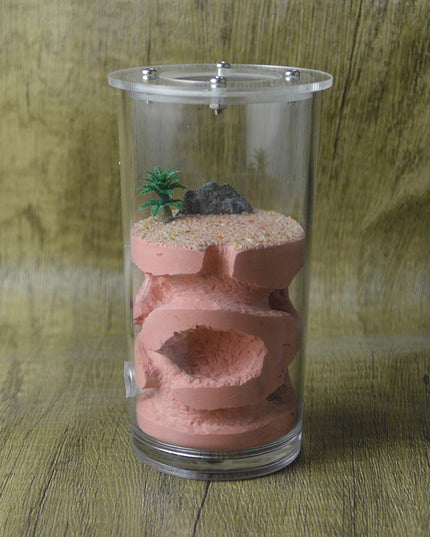 Shi Wang Ant House Water Cup Rich Acrylic Cover Plaster Ant Nest