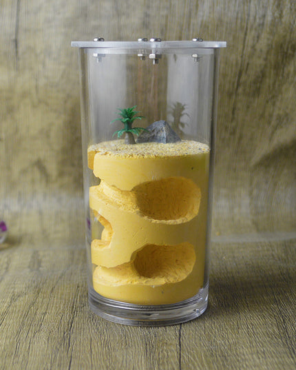 Shi Wang Ant House Water Cup Rich Acrylic Cover Plaster Ant Nest