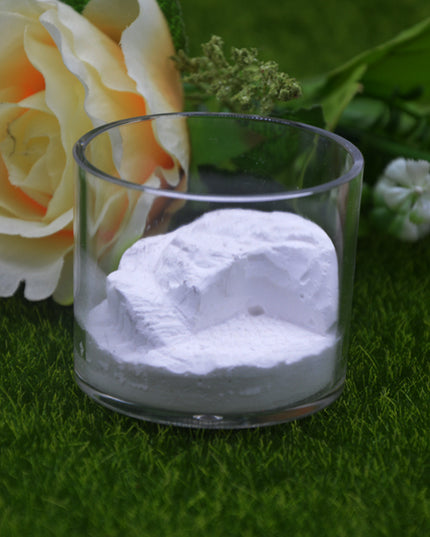 Home Fashion Acrylic Cup Plaster Ant Nest