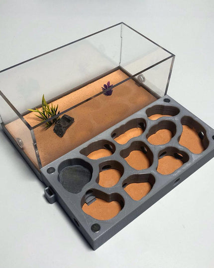 Ant Nest Ant Nest Pet Castle Workshop Tribe