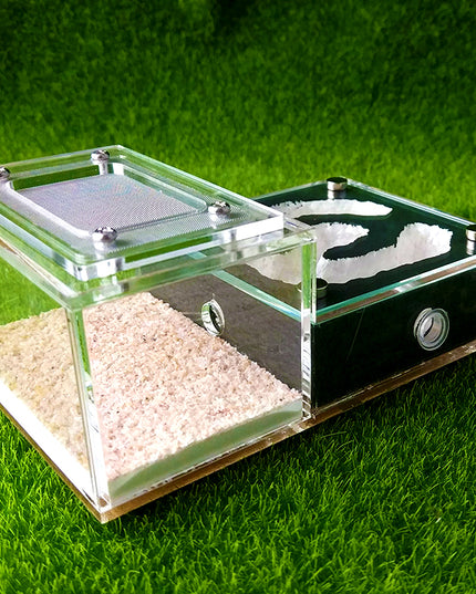 Bionic Flat Plaster Ant Nest Home Fashion