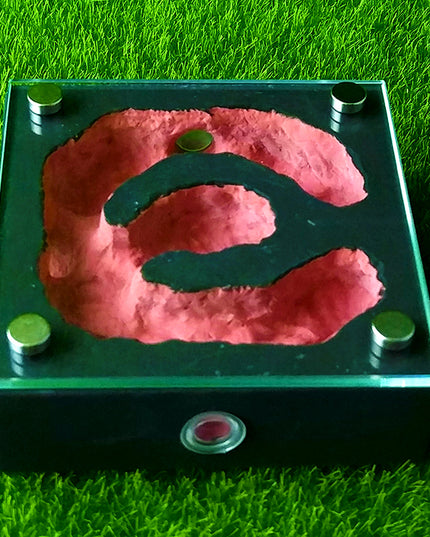 Bionic Flat Plaster Ant Nest Home Fashion