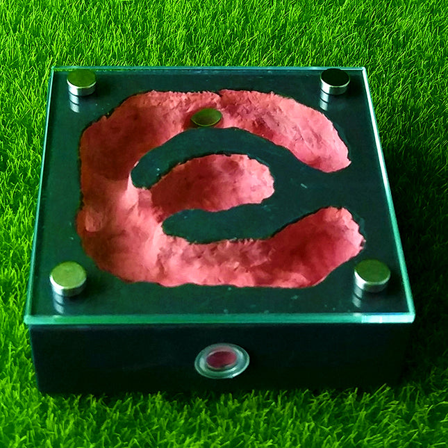 Bionic Flat Plaster Ant Nest Home Fashion