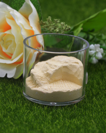 Home Fashion Acrylic Cup Plaster Ant Nest