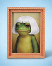 Frog 7