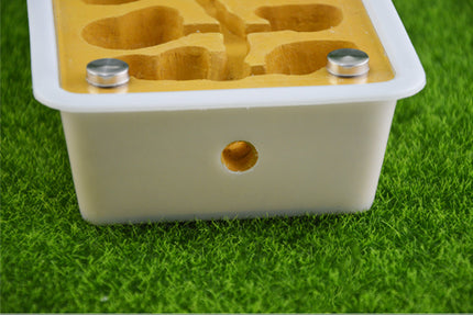 Pet Ant Flat Plaster Nest