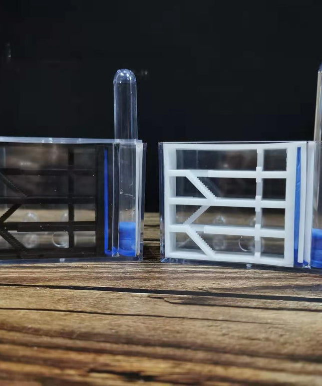 Bionic Nest Ant Workshop Acrylic Gypsum