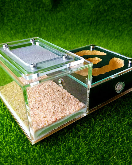 Bionic Flat Plaster Ant Nest Home Fashion