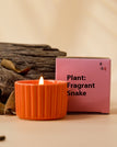 Camellia / Vibrant Orange