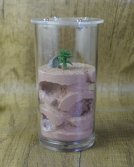 Shi Wang Ant House Water Cup Rich Acrylic Cover Plaster Ant Nest