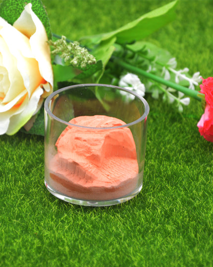 Home Fashion Acrylic Cup Plaster Ant Nest