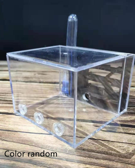 Bionic Nest Ant Workshop Acrylic Gypsum