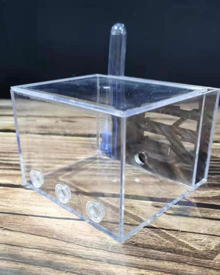 Bionic Nest Ant Workshop Acrylic Gypsum