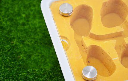 Pet Ant Flat Plaster Nest