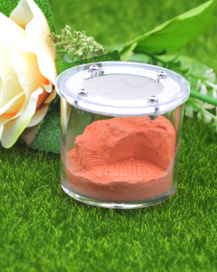 Home Fashion Acrylic Cup Plaster Ant Nest