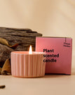 Camellia / Peach Pink