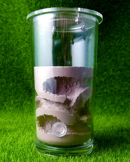 Shi Wang Ant House Water Cup Rich Acrylic Cover Plaster Ant Nest
